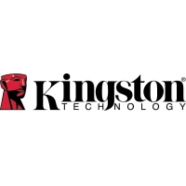 תמונה עבור הקטגוריה KINGSTON