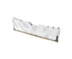 תמונה של זכרון לנייח NETAC Shadow II DDR5 6000Mhz 32GB 2x16GB C38 WHITE