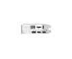 Picture of כרטיס מסך Gigabyte GeForce RTX 5050 8GB OC Low profile